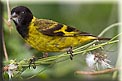 IMG_1065