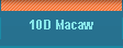 10D Macaw