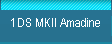 1DS MKII Amadine