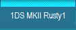 1DS MKII Rusty1