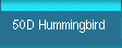 50D Hummingbird 