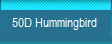 50D Hummingbird 