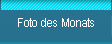 Foto des Monats