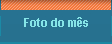 Foto do m�s