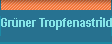 Gr�ner Tropfenastrild