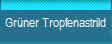 Gr�ner Tropfenastrild
