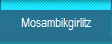 Mosambikgirlitz