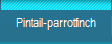 Pintail-parrotfinch