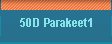  50D Parakeet1