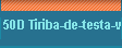  50D Tiriba-de-testa-vermelha