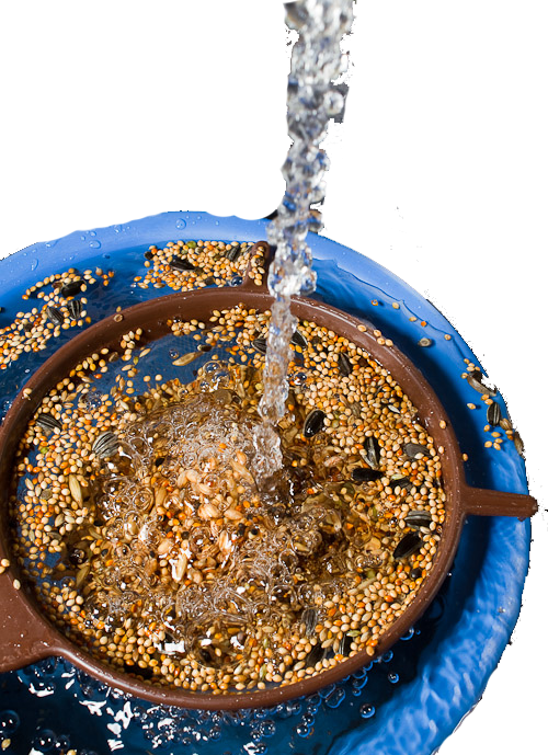 rinsing-3373